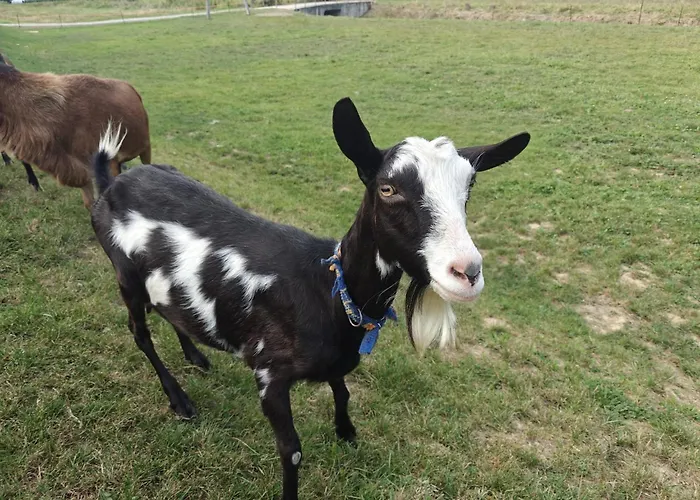 Farmház Siedlisko Tomaszewka Bobowa